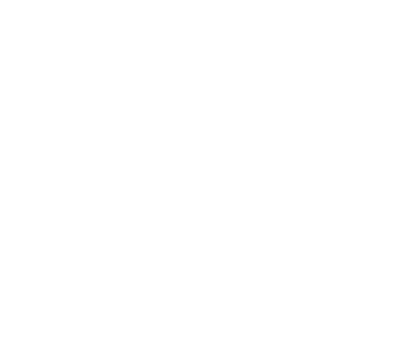 Department of Rural and Community Development and the Gaeltacht