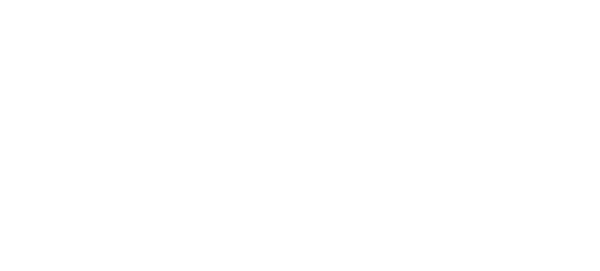 South Dublin County Council