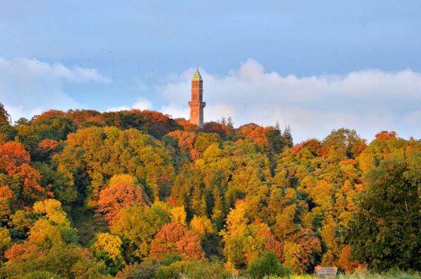 Autumn woodland and open parkland at Waterstown Park in South Dublin County