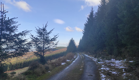 Forest track in the Dublin Mountains with light snow on the path and hills in the distance