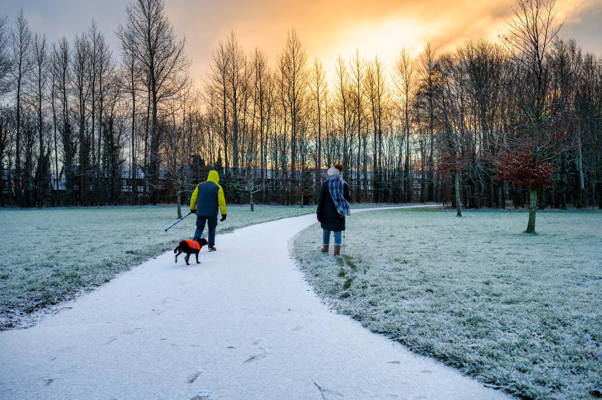 People walking a dog along a frost-covered path at sunrise in Corkagh Park