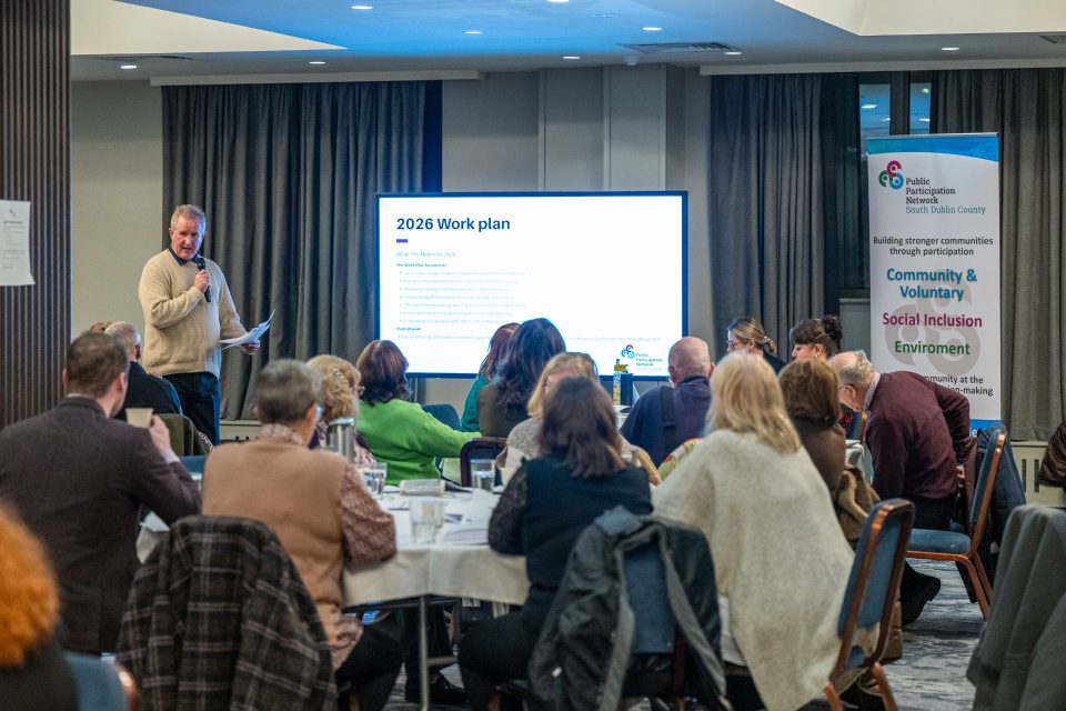 Presenter outlining 2026 work plan at PPN Plenary, Plaza Hotel, Tallaght